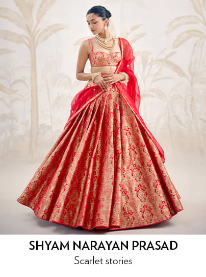 shyam-narayan-prasad