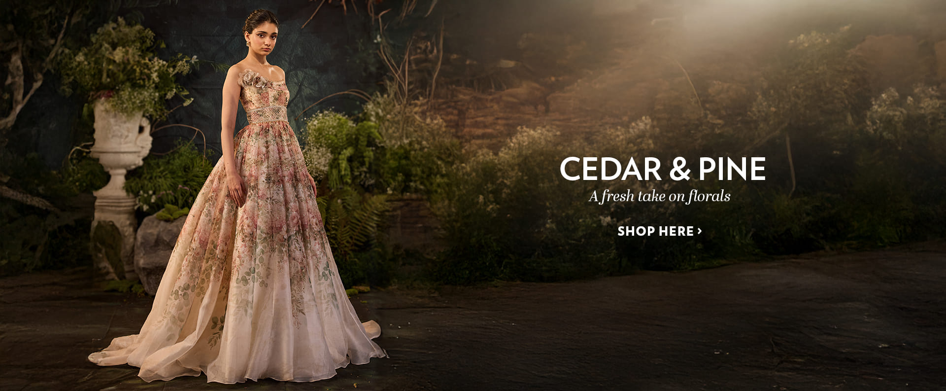 cedar-pine