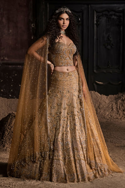 Gold nude embroidered corset and lehenga set
