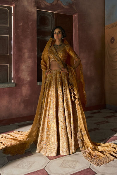 Gold embroidered tissue lehenga set