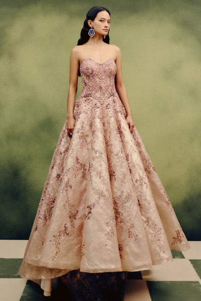 Beige embroidered organza tissue gown