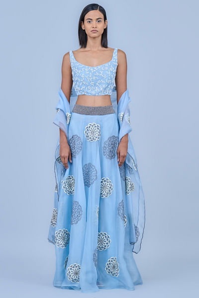 Ice silver thread and bead embroidered dupatta