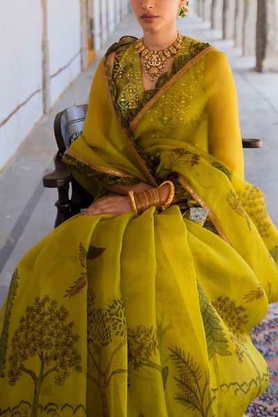 Kalamkari painted sari set