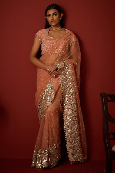 Flamingo mirror embroidered sari set