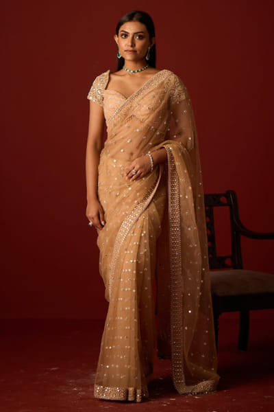 Golden mirror embroidered sari set