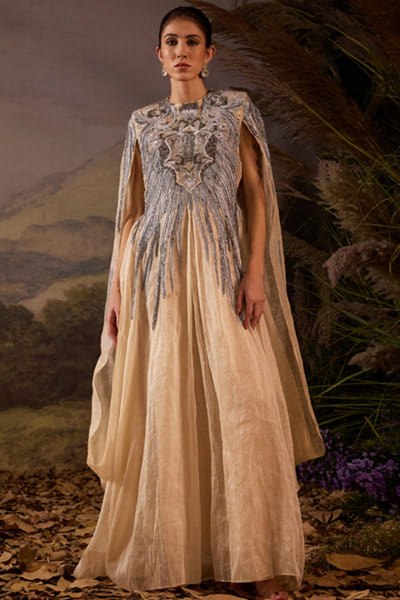 Champagne embroidered and draped gown