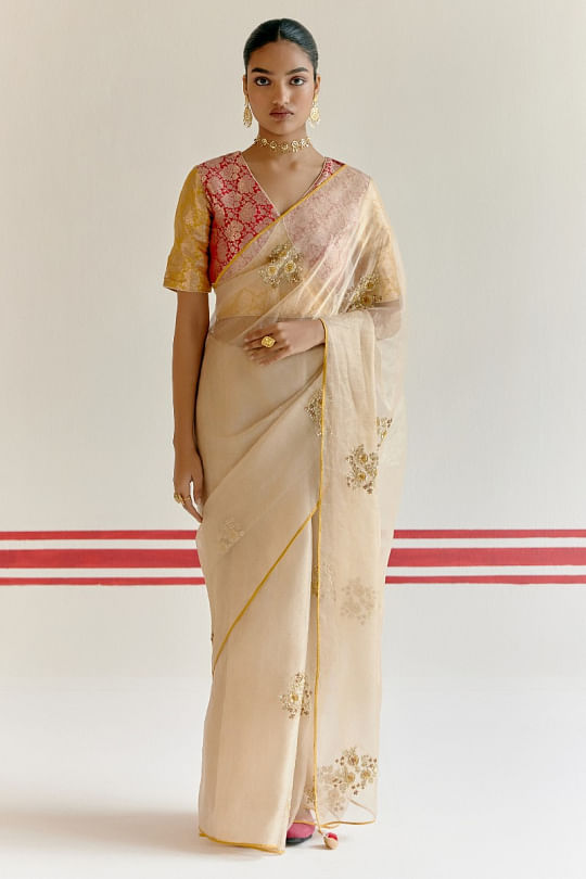 Amisha Kothari
