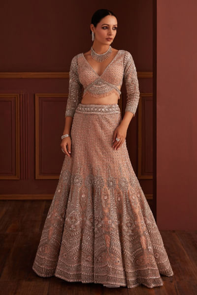 Nude pink zari embroidered lehenga set