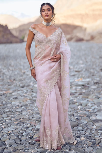 Champagne hand embroidered sari set