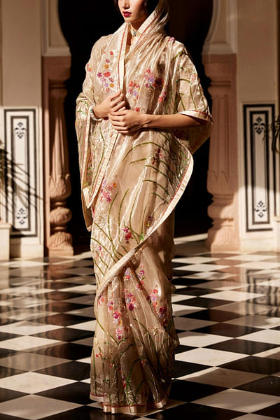 Silver embroidered tissue sari
