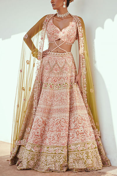 Light rust embroidered lehenga set