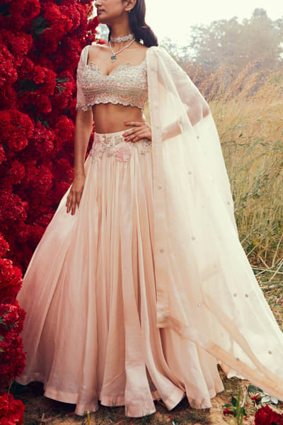 Champagne organza lehenga set