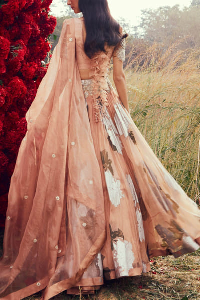 Bhumika Sharma Nude printed organza lehenga set BMSAPR2211