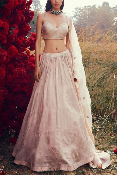 Champagne printed lehenga set