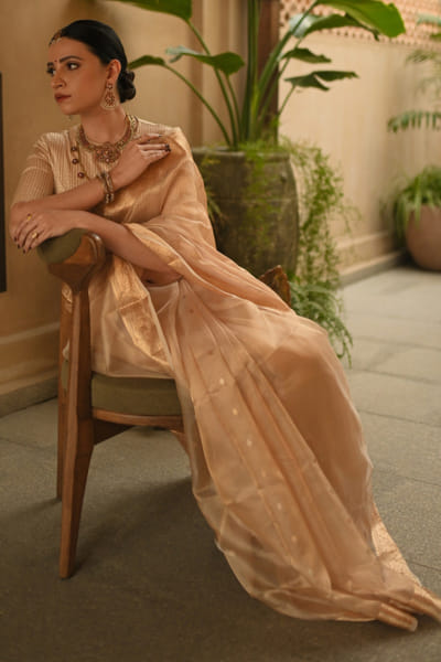 Gold silver tissue zari sari