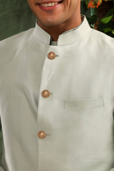 Antique gold lion brass button set