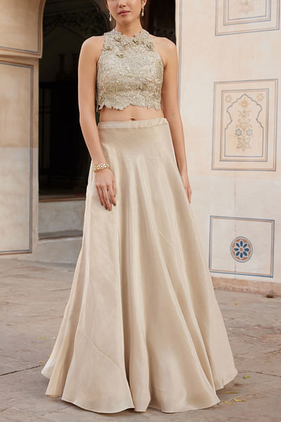 Beige champagne embroidered skirt set