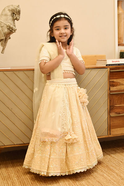 Beige embroidered lehenga set