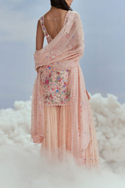 Nachiket Barve Blush floral embroidery gharara set NABFEB24D222