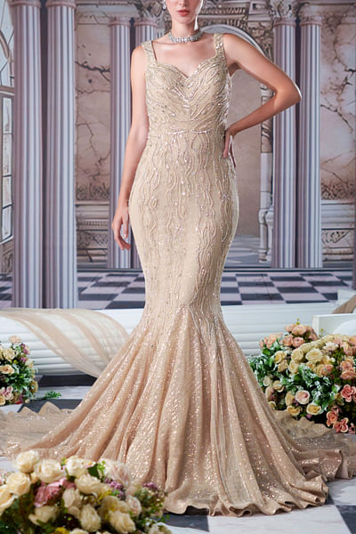 Champagne embroidered gown