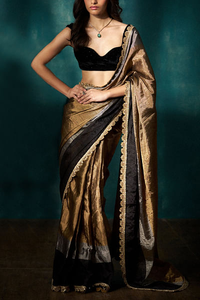 Gold and silver tissue sari set