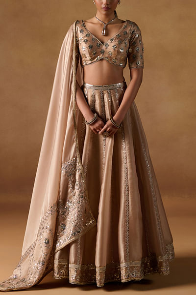 Gold zari embroidered lehenga set