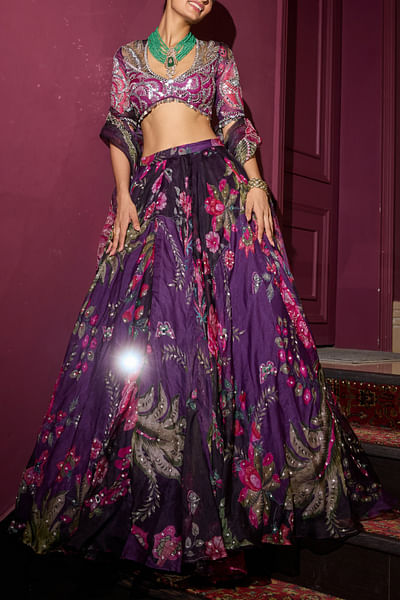 Grapevine mirror embroidered lehenga set