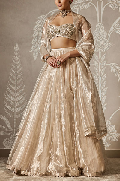 Light gold embroidered blouse and lehenga set