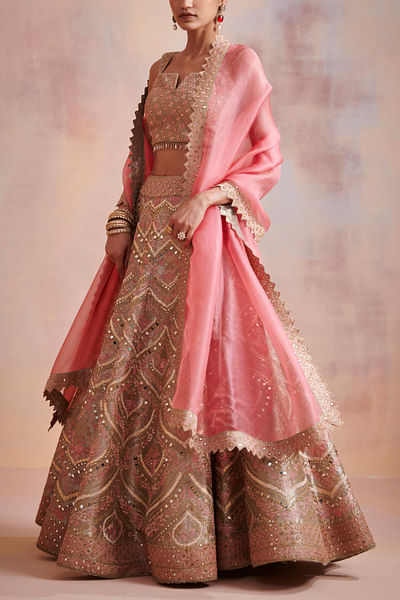Mouse and rose mirror embroidered lehenga set