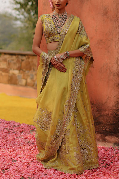 Mustard embroidered skirt sari set