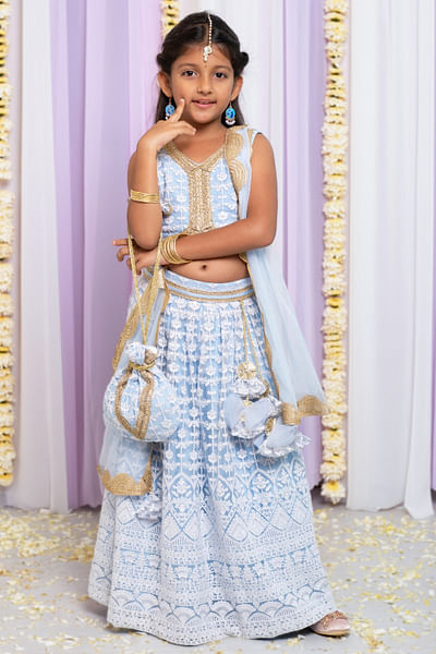 Powder blue embroidered net lehenga set