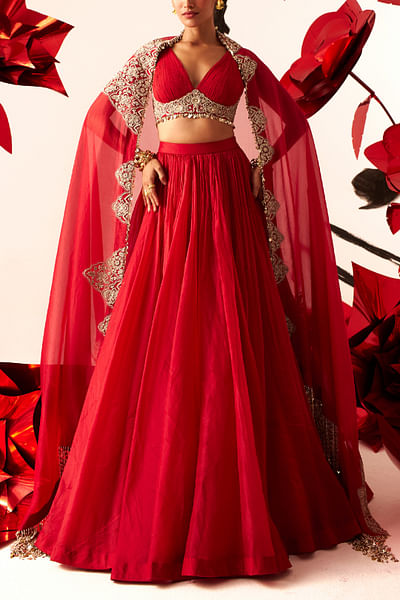 Red embroidered bustier and skirt set