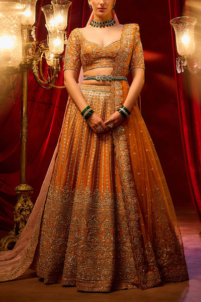 Rust peacock embroidered lehenga set