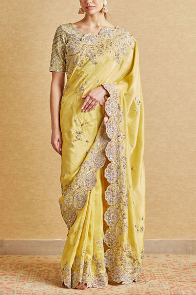 Amber aari and zardozi embroidered sari set