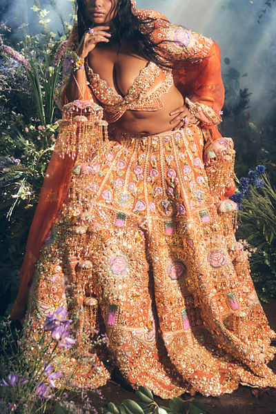 Brown floral and butterfly 3D detail lehenga set