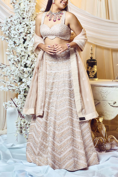 Champagne taupe chevron embroidery lehenga set