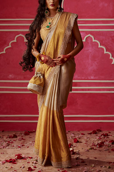 Gold and silver dori embroidery sari set