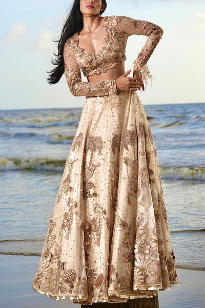 Gold bird and floral embroidery lehenga set