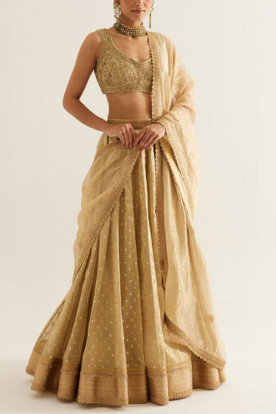 Gold woven tissue lehenga set