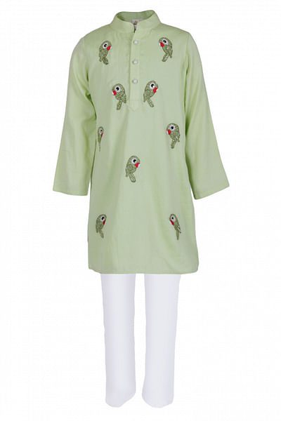Green parrot embroidered kurta set