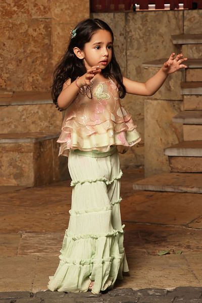 Light peach butterfly embroidery sharara set