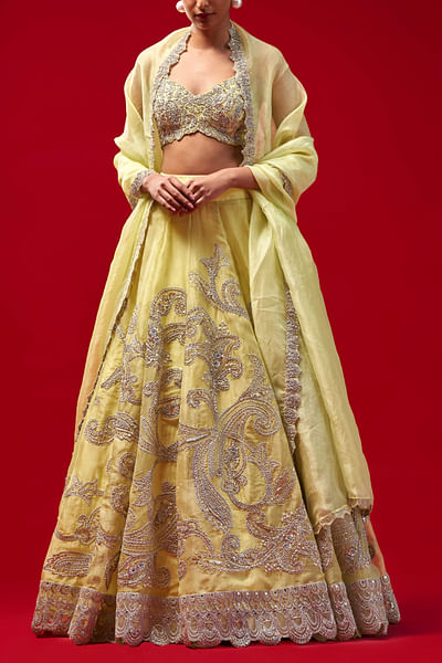 Mint green embroidered lehenga set