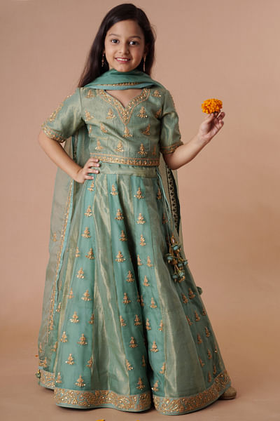 Moss green dori embroidered lehenga set