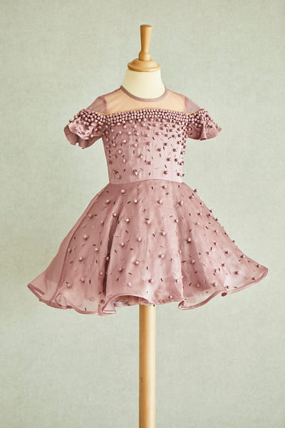 Pink embroidered organza dress