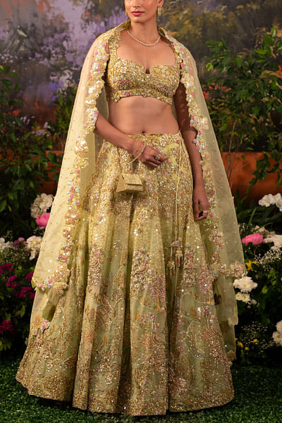 Sage green floral and bird embroidery lehenga set