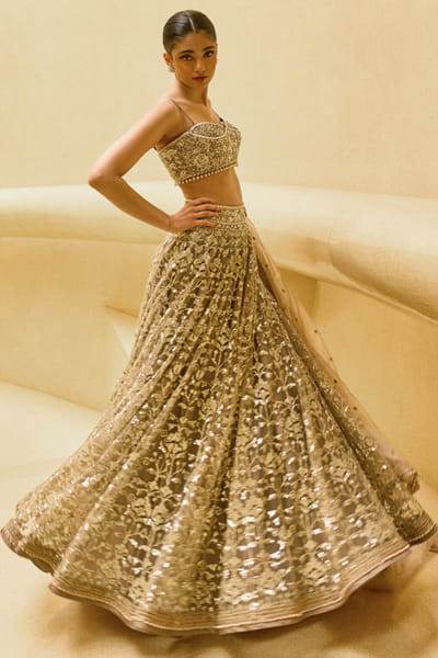 Sand embroidered lehenga set