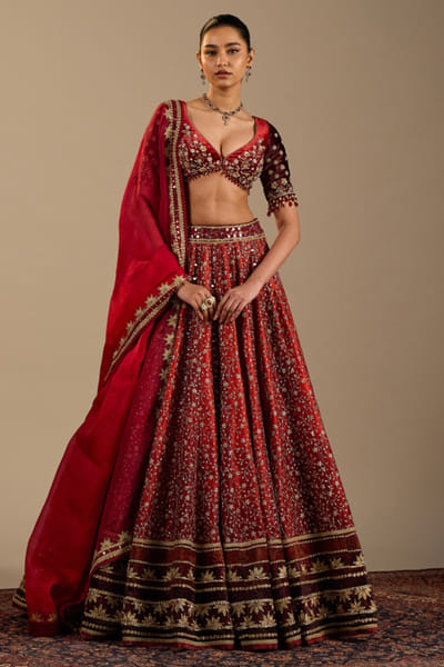 Red embroidered tulle lehenga set
