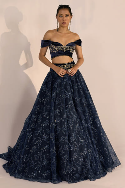 Blue embroidered organza lehenga set