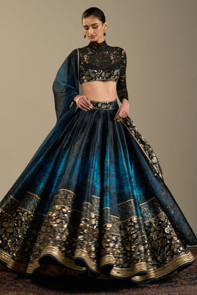 Blue printed and embroidered lehenga set