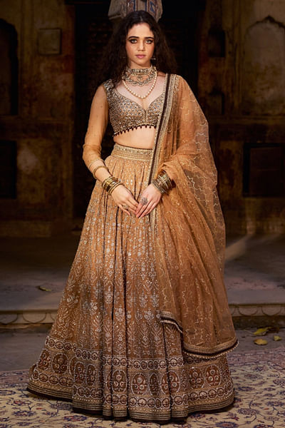 Golden beige embroidered lehenga set